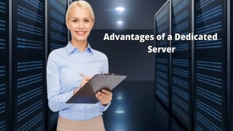 Avail the Best Possible Advantages of Dedicated Server Hosting With Hosting Raja