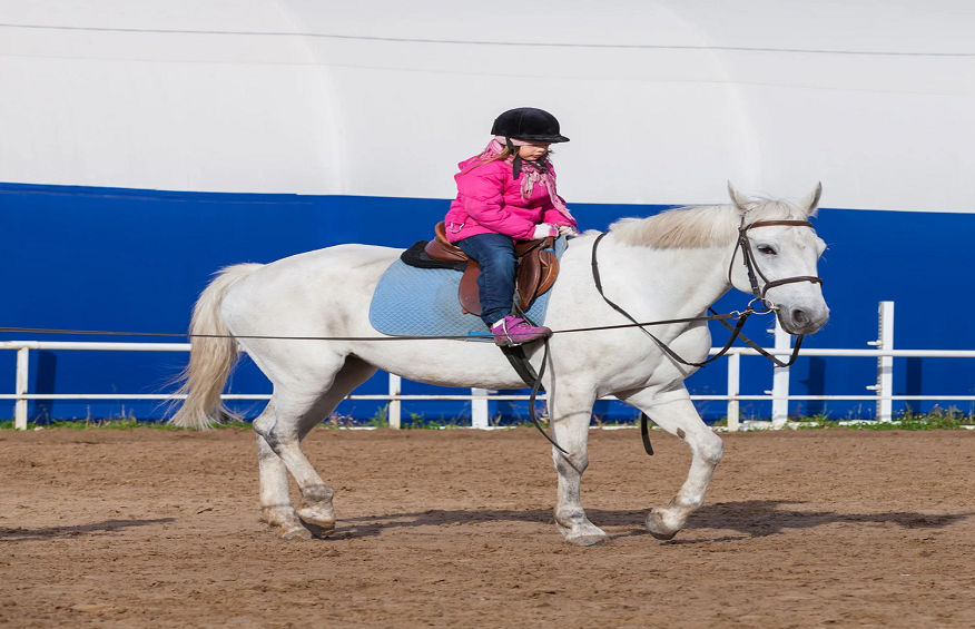 Horse Jumps – A Fun and Educational Activity For Kids