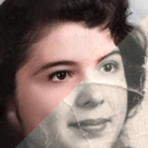 Photo Restoration | Restore Old Photos with AI Online for Free